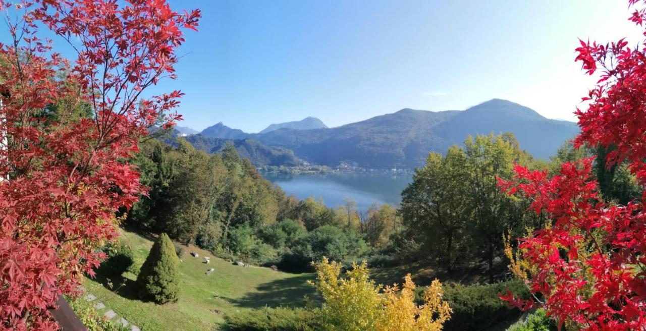 브루심피아노 La Finestra Sul Lago B&B 외부 사진