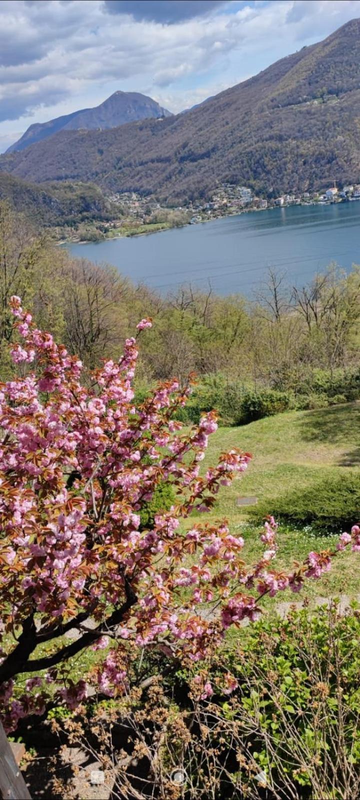 브루심피아노 La Finestra Sul Lago B&B 외부 사진